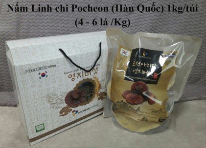 Nấm Linh chi Pocheon Hàn Quốc 4-6 lá/Kg